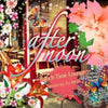 Afternoon-Lunch Time Lounge (CD - Brand New) DJ Rina - LV'S Global Media