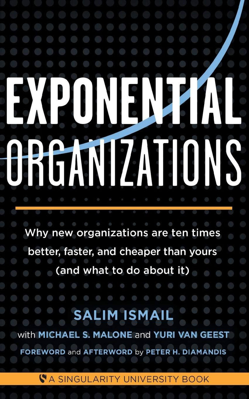 Exponential Organizations by Salim Ismail [Trade Paperback] - LV'S Global Media