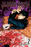 Jujutsu Kaisen, Vol. 2 ( Jujutsu Kaisen #2 ) by Gege Akutami [Paperback] - LV'S Global Media