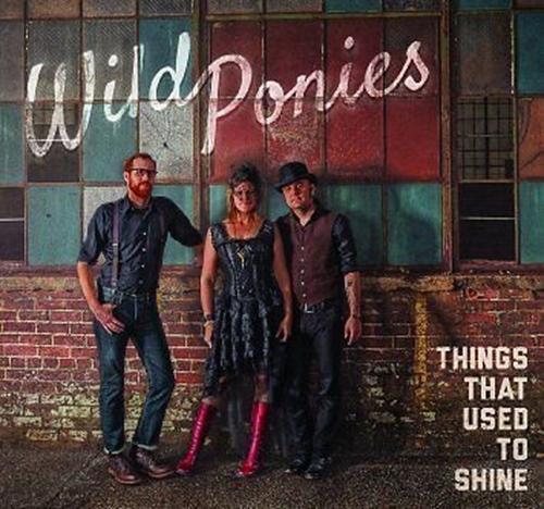 Things That Used to Shine (CD - Brand New) Wild Ponies - LV'S Global Media